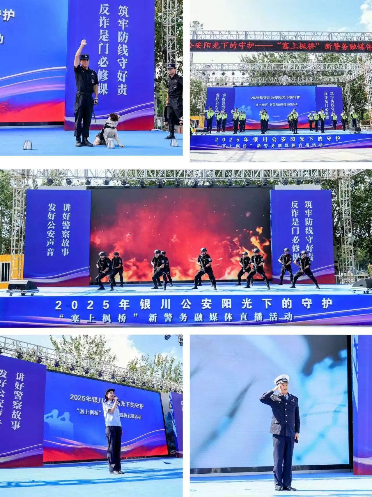 微信图片_2025-08-10_121033_773.jpg