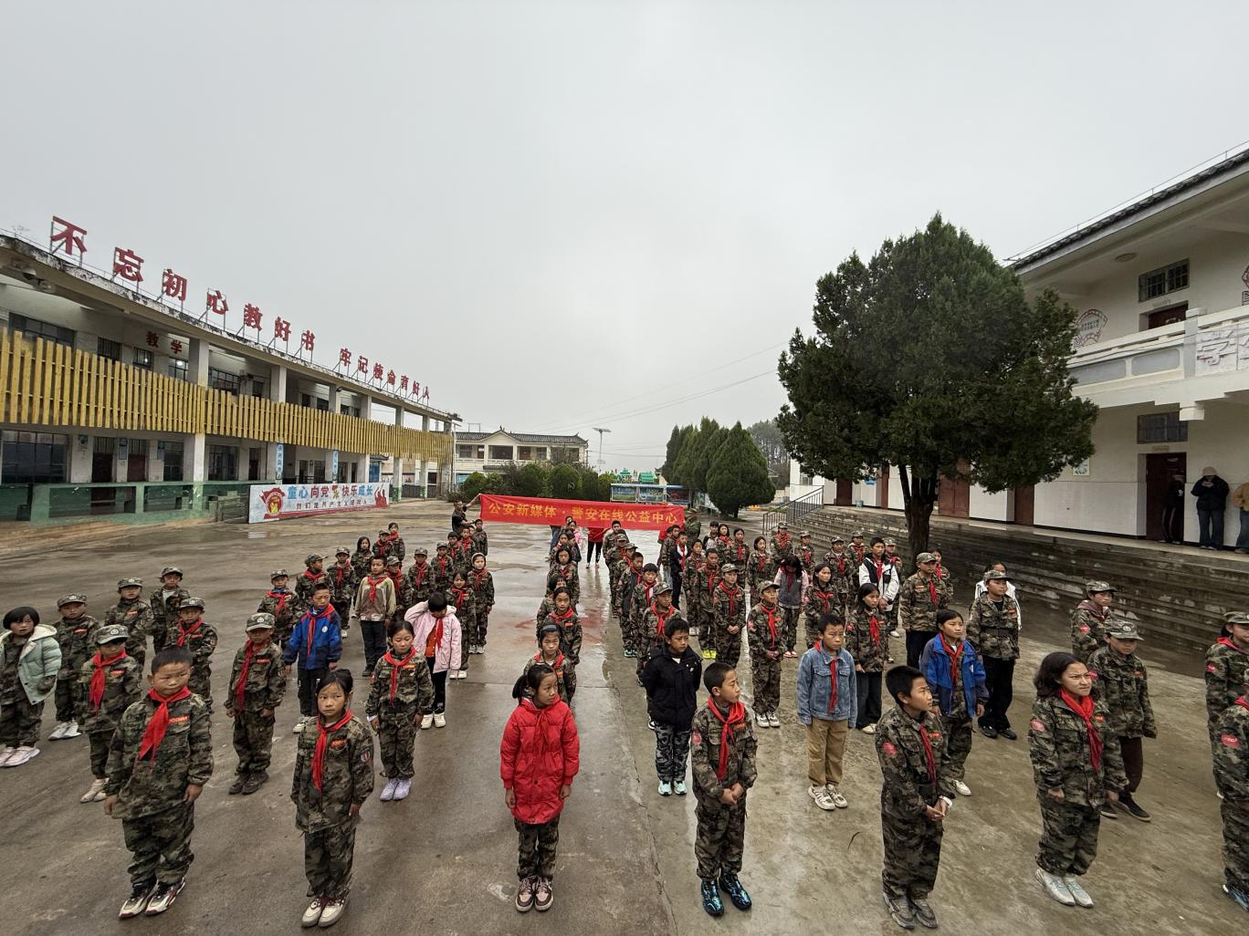图片5.png