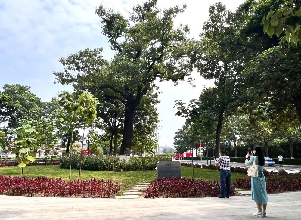 微信图片_2026-06-30_193459_517.jpg