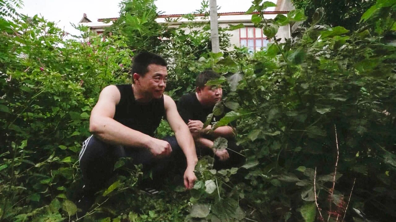 微信图片_2026-07-02_140251_494.jpg